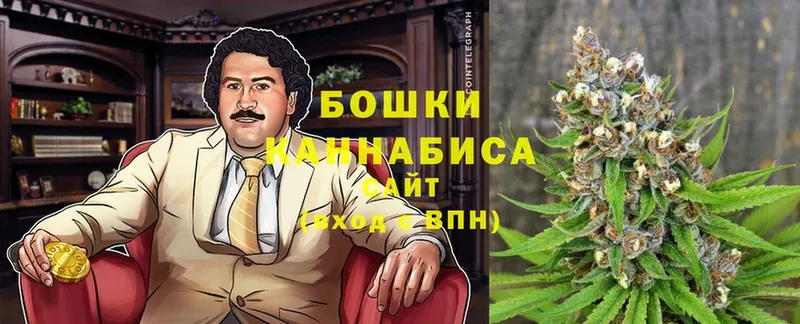 Марихуана SATIVA & INDICA  наркошоп  Кедровый 